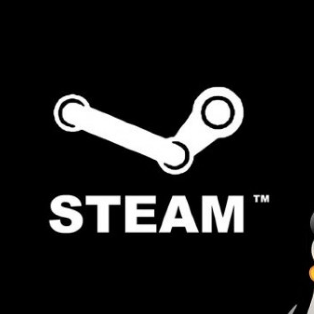 Steam en Linux es una realidad 1