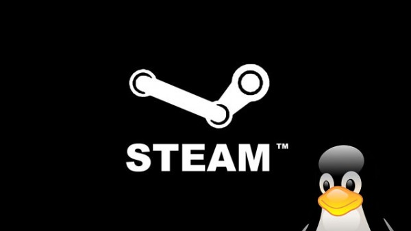 Steam en Linux es una realidad 10
