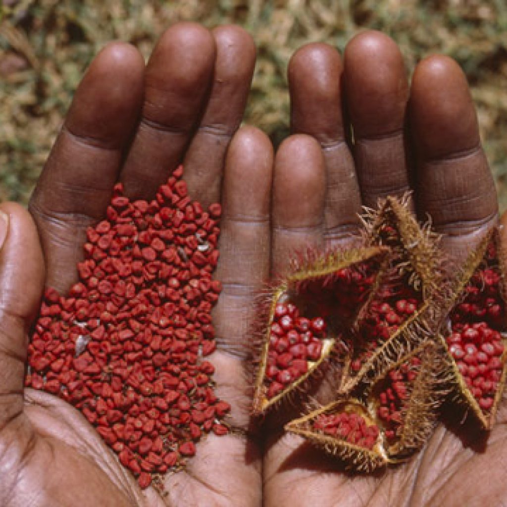 Gamificando microcréditos para ayudar a mujeres en Kenia 1 Gamificando microcréditos para ayudar a mujeres en Kenia 1