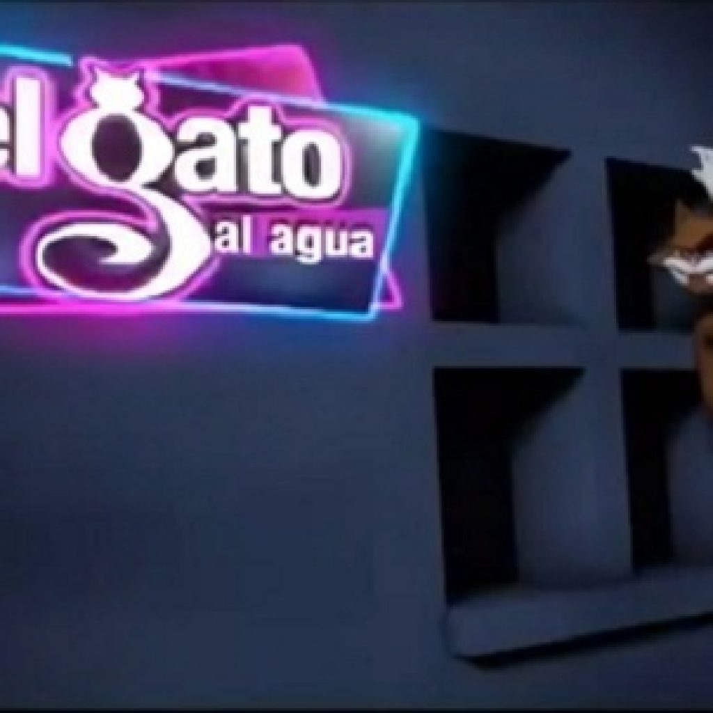 Nivel Oculto en el gatico al agua 1