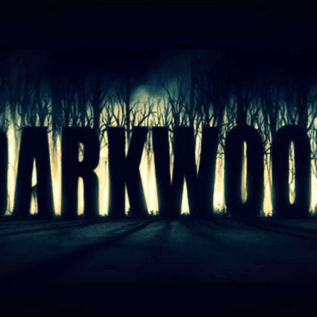 Primeras Impresiones: Darkwood 1