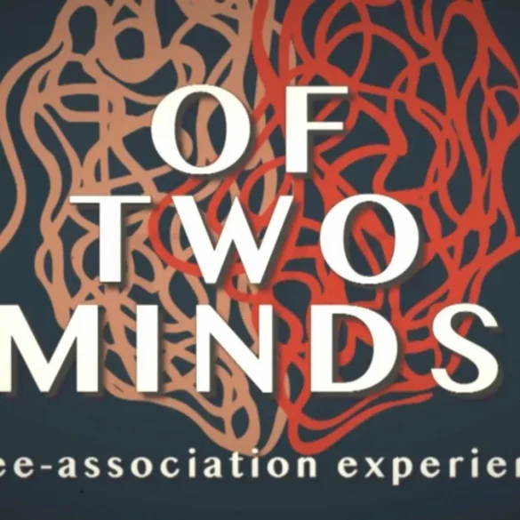 Of Two Minds: ¿Quién analiza al analizador? 16