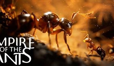 Empire of the Ants 7